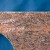 Rustic Coral Bathroom Vanity Top