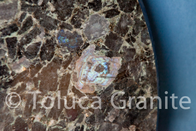 volga-blue-granite-table-austin-texas-4