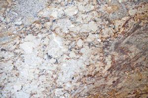 golden bordeaux granite bathroom vanity steiner ranch tx