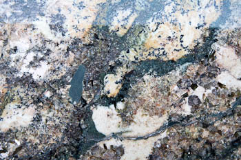 Barricato Granite Slab