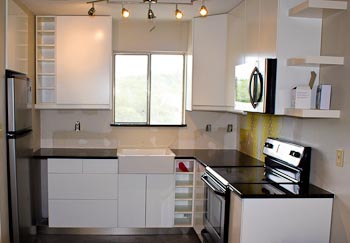 Condo Kitchen with IKEA Cabinets and Uba Tuba Granite